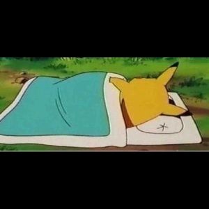 Meet your Posher, Eden